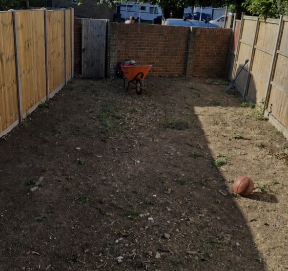 Garden Transformation — before